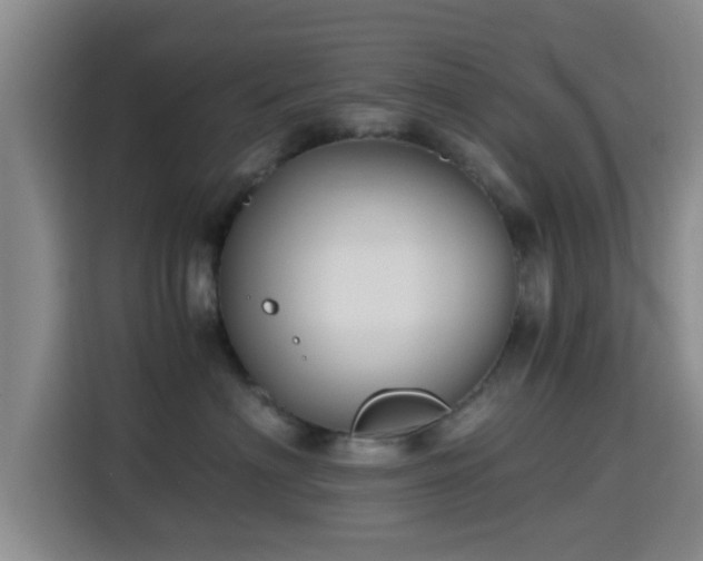 X0000115390622200911101453