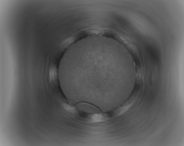 X0000115390623200911101453