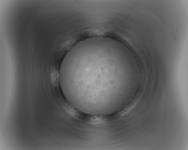 X0000115390624200911101453