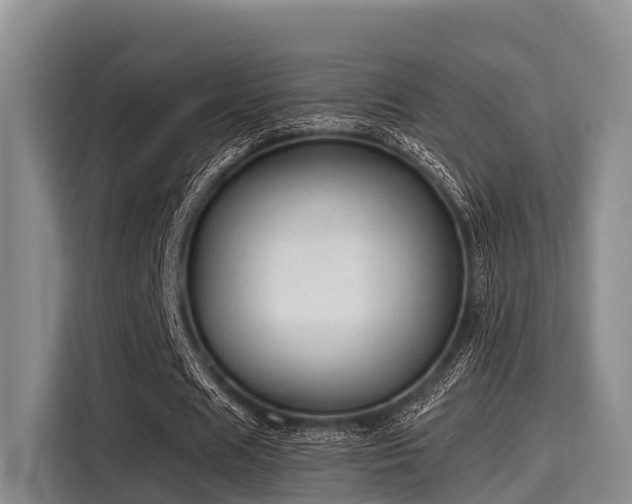 X0000115390625200911101453