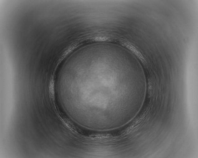 X0000115390626200911101453