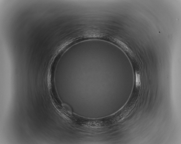 X0000115390627200911101453