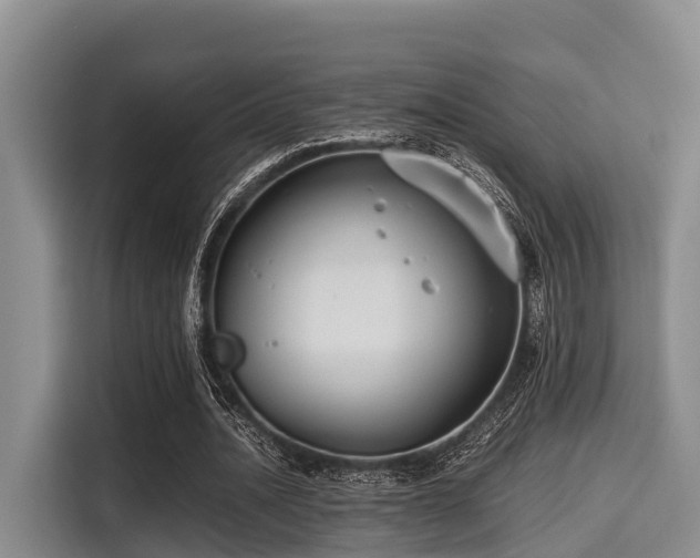X0000115390628200911101453
