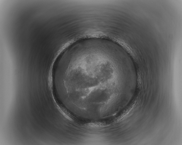 X0000115390630200911101453