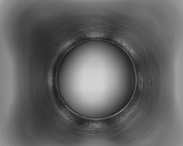 X0000115390631200911101453