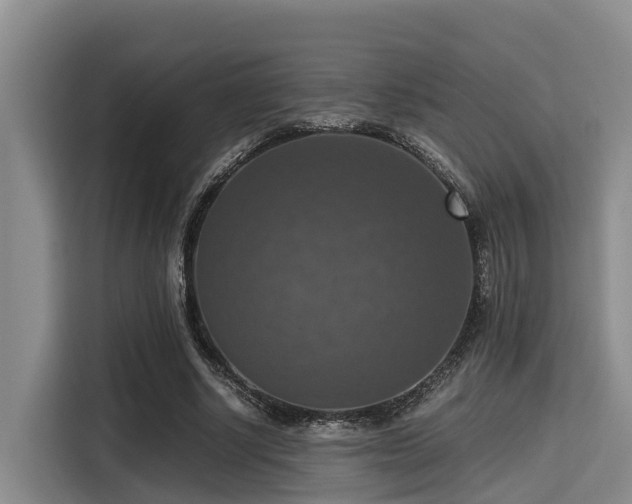 X0000115390634200911101453