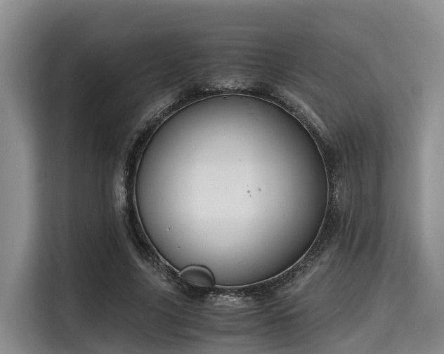 X0000115390635200911101453
