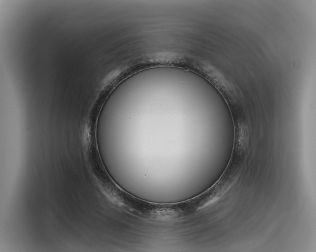 X0000115390636200911101453