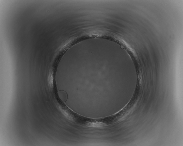 X0000115390637200911101453