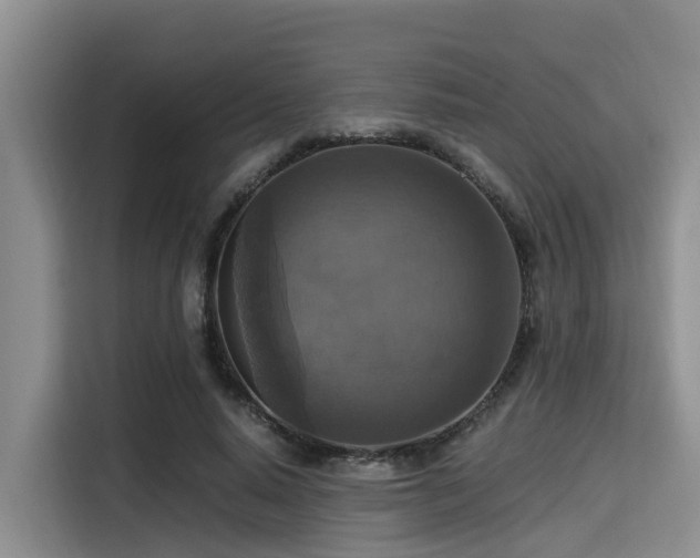 X0000115390640200911101453