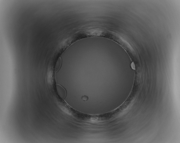 X0000115390641200911101453