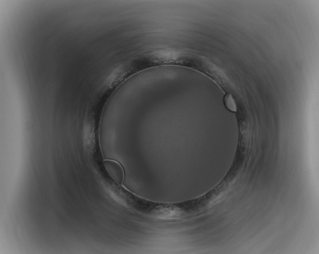 X0000115390642200911101453