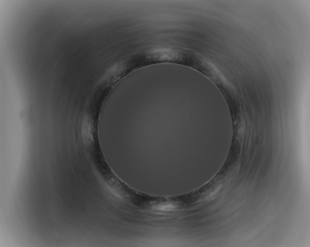 X0000115390643200911101453