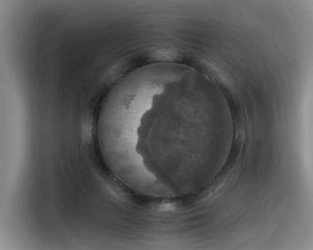 X0000115390647200911101453