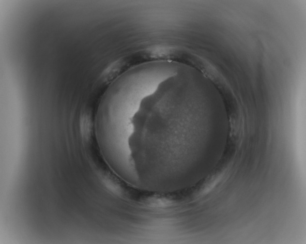 X0000115390648200911101453