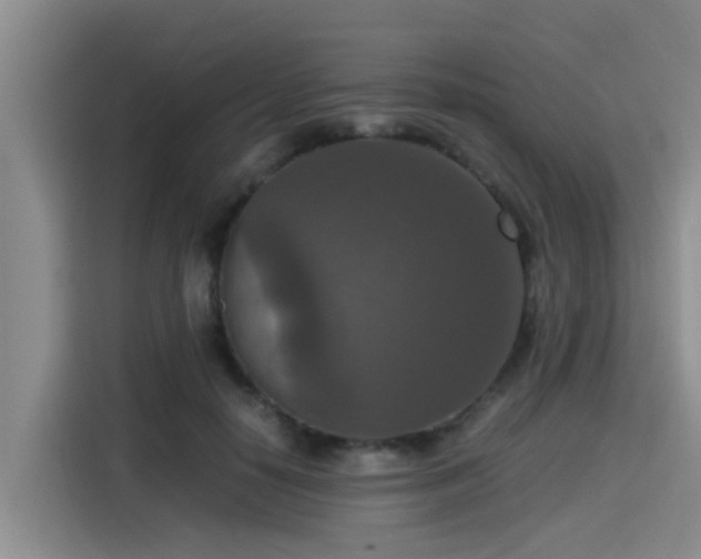 X0000115390650200911101453