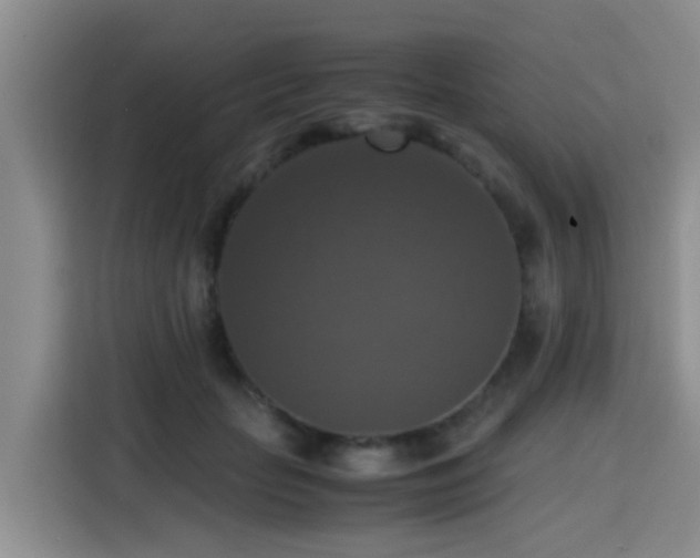 X0000115390653200911101453