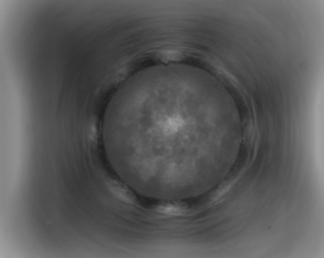 X0000115390655200911101453