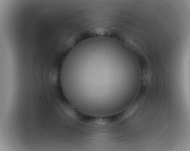 X0000115390656200911101453