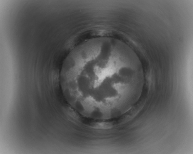 X0000115390657200911101453