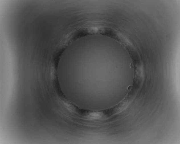 X0000115390659200911101453