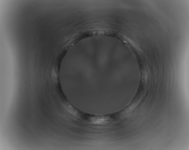 X0000115390661200911101453