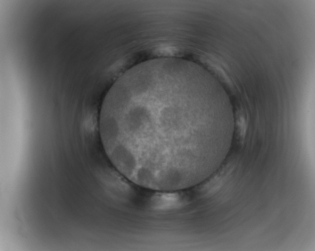 X0000115390665200911101453