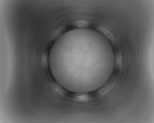 X0000115390667200911101453