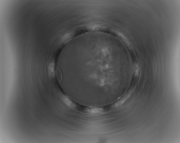 X0000115390670200911101453