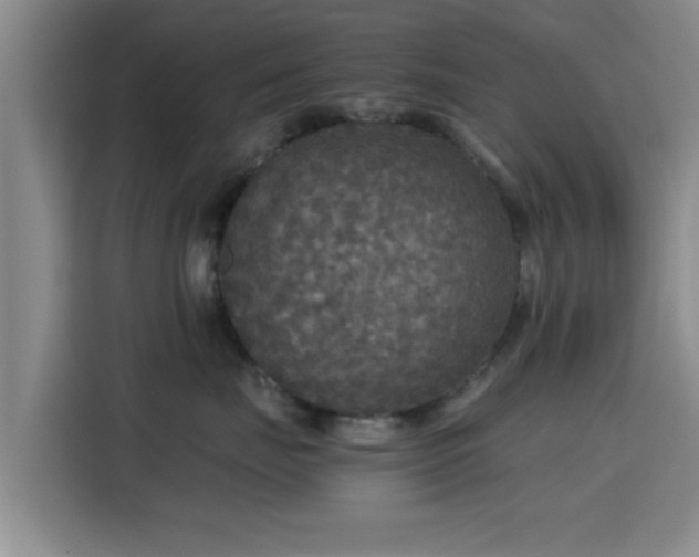 X0000115390671200911101453
