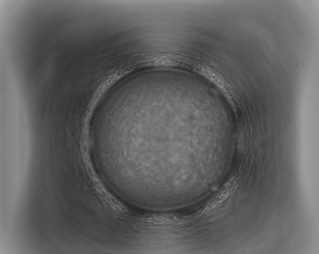 X0000115390673200911101453