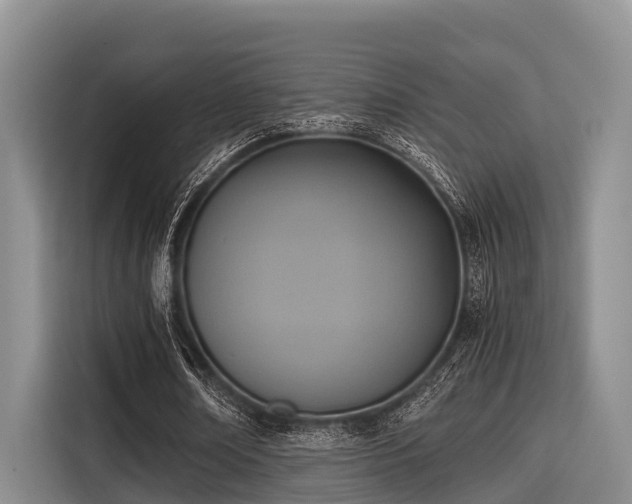 X0000115390674200911101453