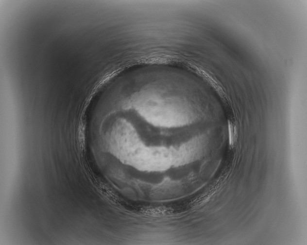 X0000115390675200911101453