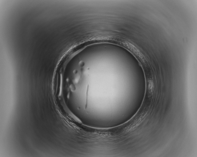 X0000115390676200911101453