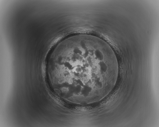 X0000115390679200911101453