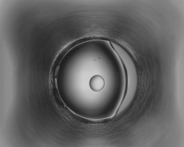 X0000115390680200911101453
