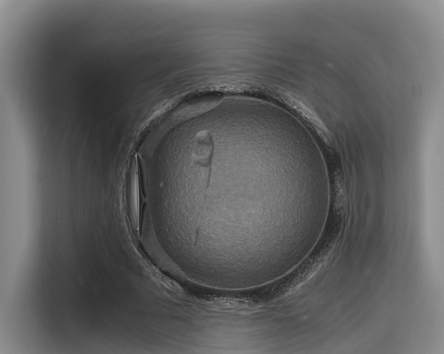 X0000115390681200911101453