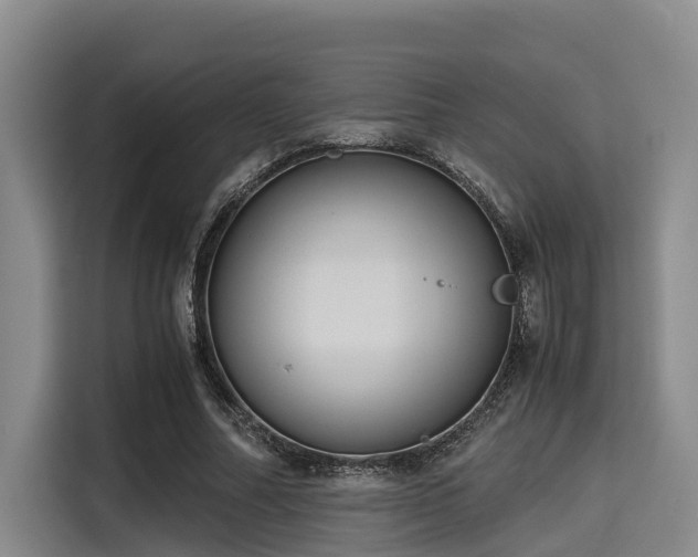 X0000115390682200911101453