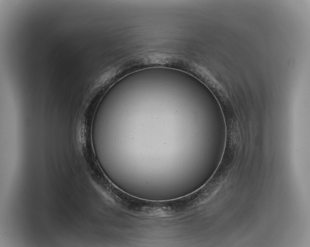 X0000115390683200911101453