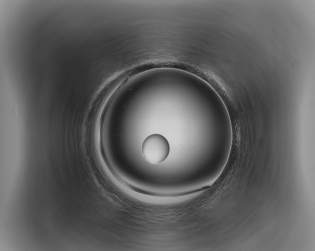 X0000115390684200911101453