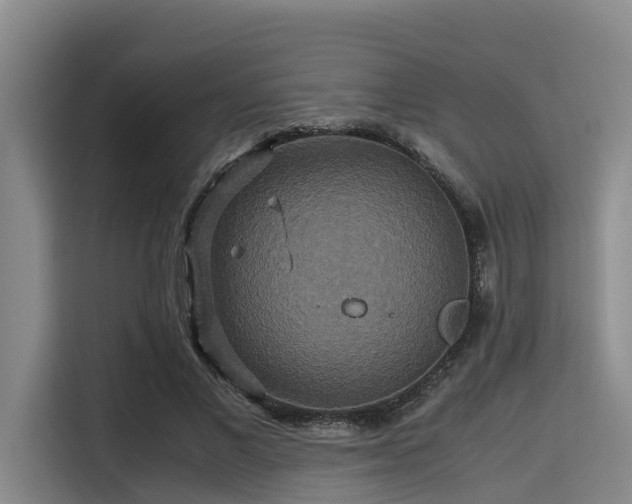 X0000115390685200911101452