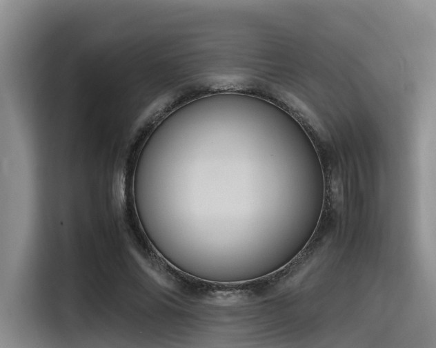 X0000115390686200911101452