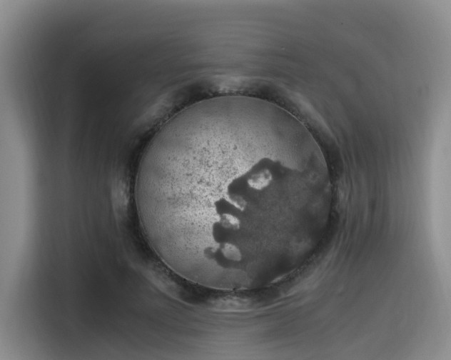 X0000115390691200911101452