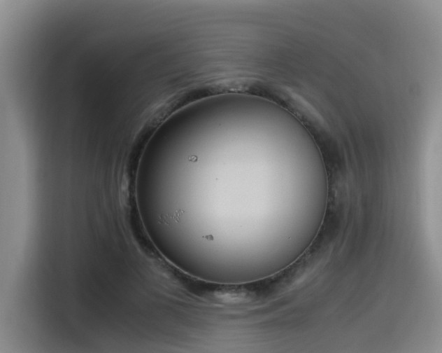 X0000115390693200911101452