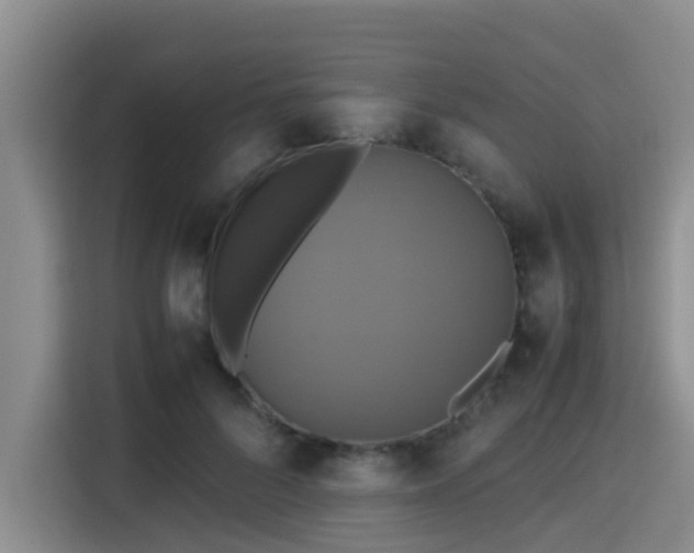 X0000115390696200911101452