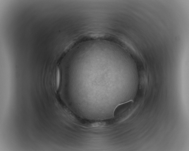 X0000115390700200911101452