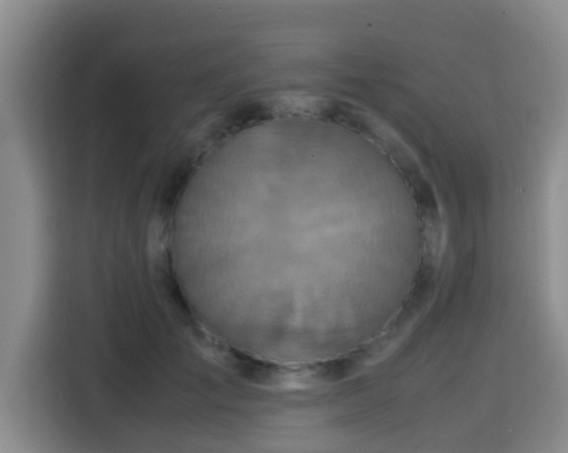 X0000115390701200911101452