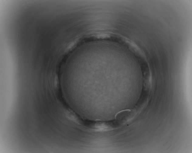 X0000115390704200911101452