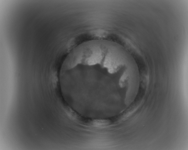 X0000115390707200911101452