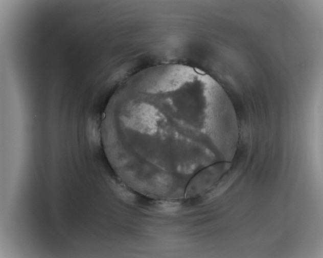 X0000115390719200911101452